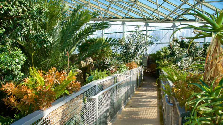 ABQ BioPark - Botanic Garden, United States
